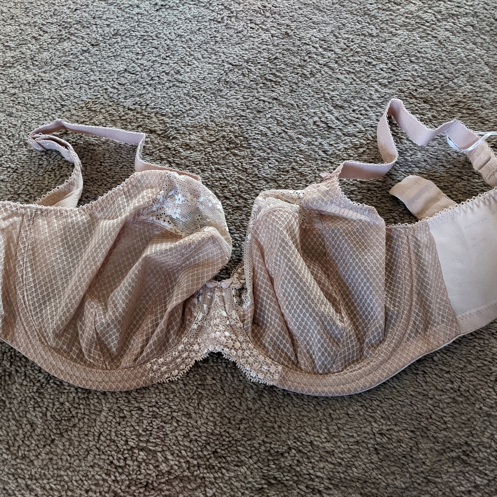 Elomi J Hook Bra 36FF